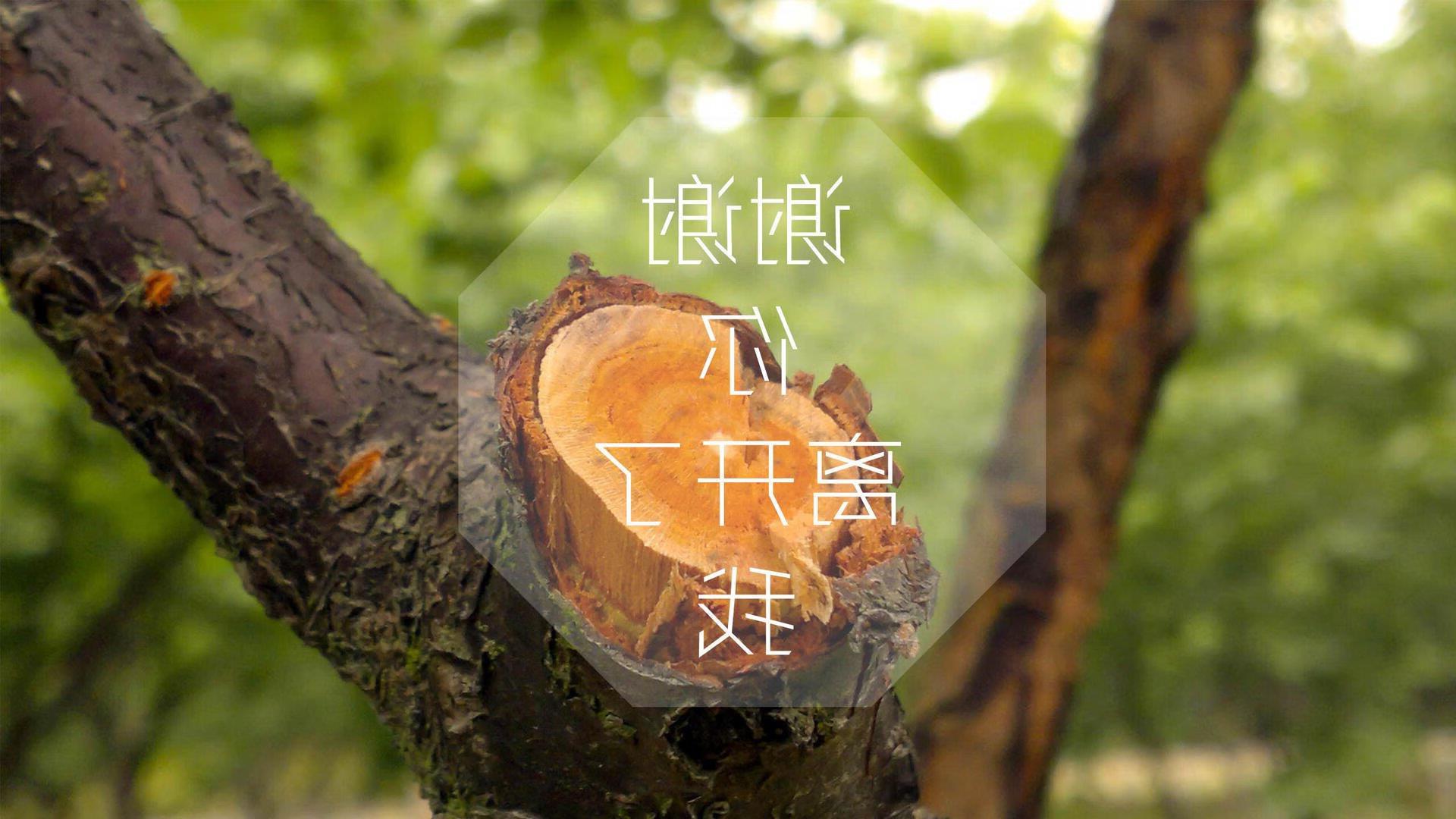 数字体育推动中国足球迈向智能化、信息化，数字体育市场
